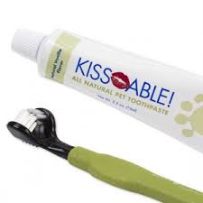 Pet ToothPaste and Brush