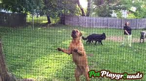 Pet Playgrounds Fence