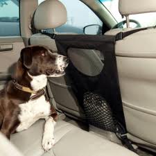 Dog in car with Pet Travel Barrier