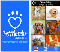 PetMatch App