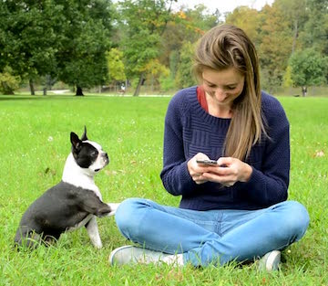 Ignoring Dog While on Phone