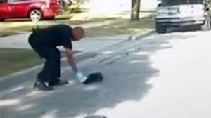 Police Rescue Stuck Skunk