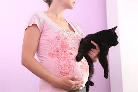Pregnant Woman Holding Cat