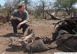 Prince Haryy With Endangered Animal