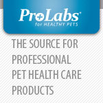 Pro Labs Logo