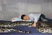 Azhe Liu with babysitting python