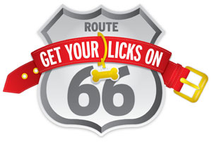 Get Your Licks On Route 66 Badge