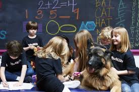 Trained K9 with school children