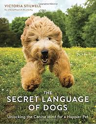 The Secret Language of Dogs Book Cover