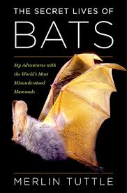 Secret Lives of Bats Book Cover