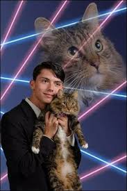 Senior Picture of Draven Rodriguez with Cat