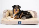 Serta Pet Bed