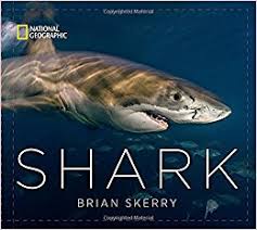 Shark Book Cover