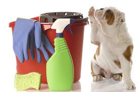 Cleaning Products and Dog  