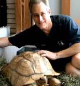 Spur the tortoise