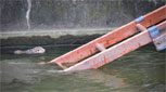 Squirrel in water next to rescue ladder