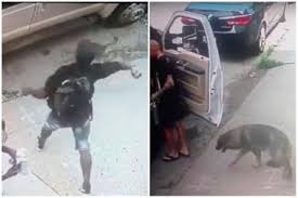 Thieves Breaking into Vehicle