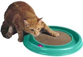 Turbo Scratcher