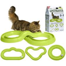 Cat playing with Turbo Track
