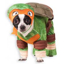 Ninja Turtle Dog Costume