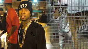 Rapper Tyga and Tiger