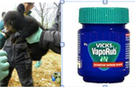 Baby Bear and Vicks VapoRub