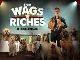 From Wags To Riches