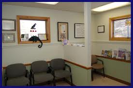 Empty veterinarian waiting room