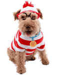 Dog Waldo Costume
