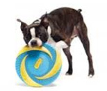 Wham-O Pet Frisbee