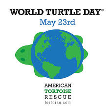 World Turtle Day Logo