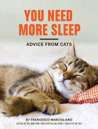 You Need More Sleep Book Cover