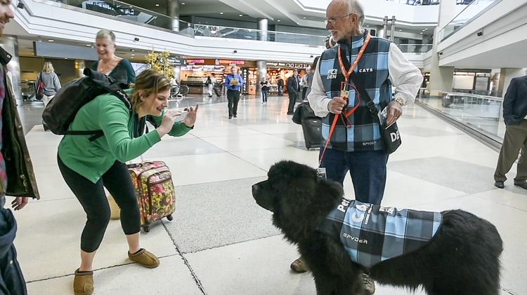 Dogs to de-stress airport travelers 
