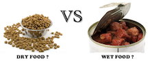 Dry Food vs. Wet Food Bowls