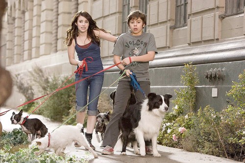 Hotel for Dogs on Animal Radio�