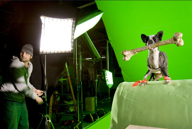 Animal Radio� goes behind the scences for Hotel for Dogs