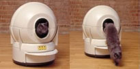 Litter Robot on Animal Radio�