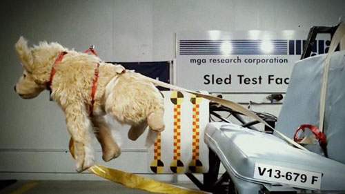 Dog Crash Test Dummy