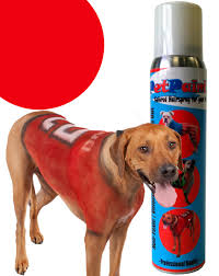 Pet Paint painted dog