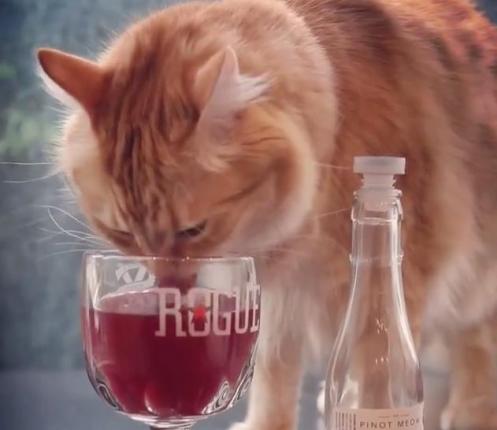 Pinot Meow