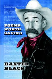 Poems Worth Saving book cover