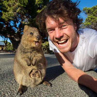 Allan with Quokka