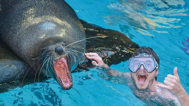 Allan with Seal