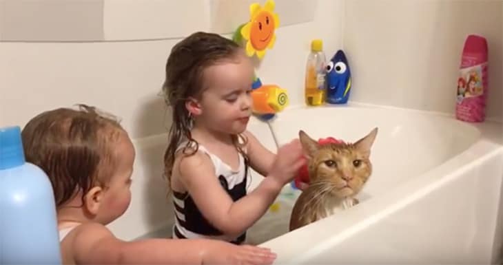 Bailey in Bathtub With Erin's Daughters