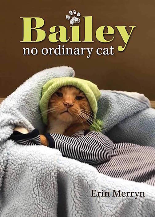 Bailey, No Ordinary Cat Book Cover 