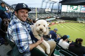 Bark in the Park