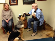 Dr. Marty Becker Examining Dog