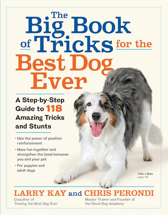  The Big Book Tricks For The Best Dog Ever Book Cover