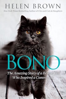 Bono Book Cover