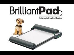 BrilliantPad